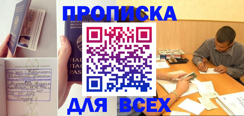 временная прописка в Новодвинске